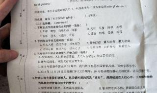 小学五年级语文试卷